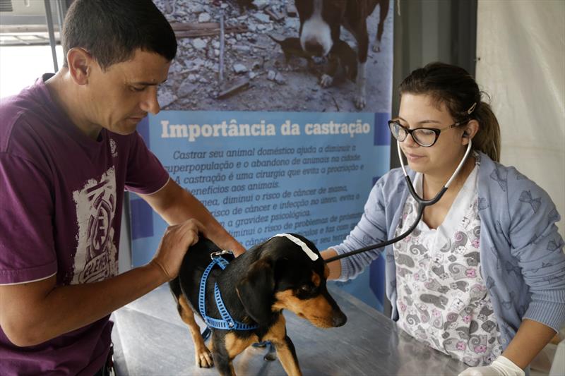 Rede suspende mutirão e vai remanejar atendimentos para evitar aglomeração