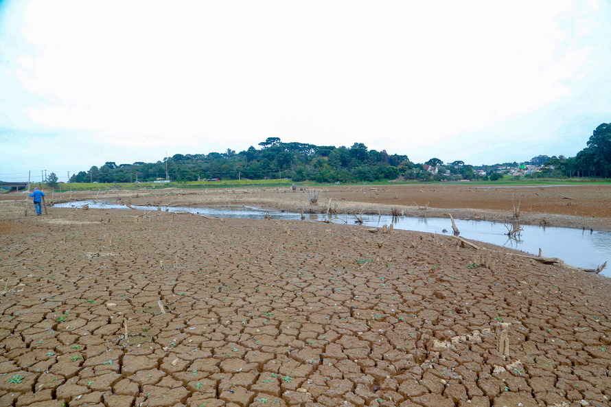 Estiagem pode comprometer safra de inverno, mostra estudo