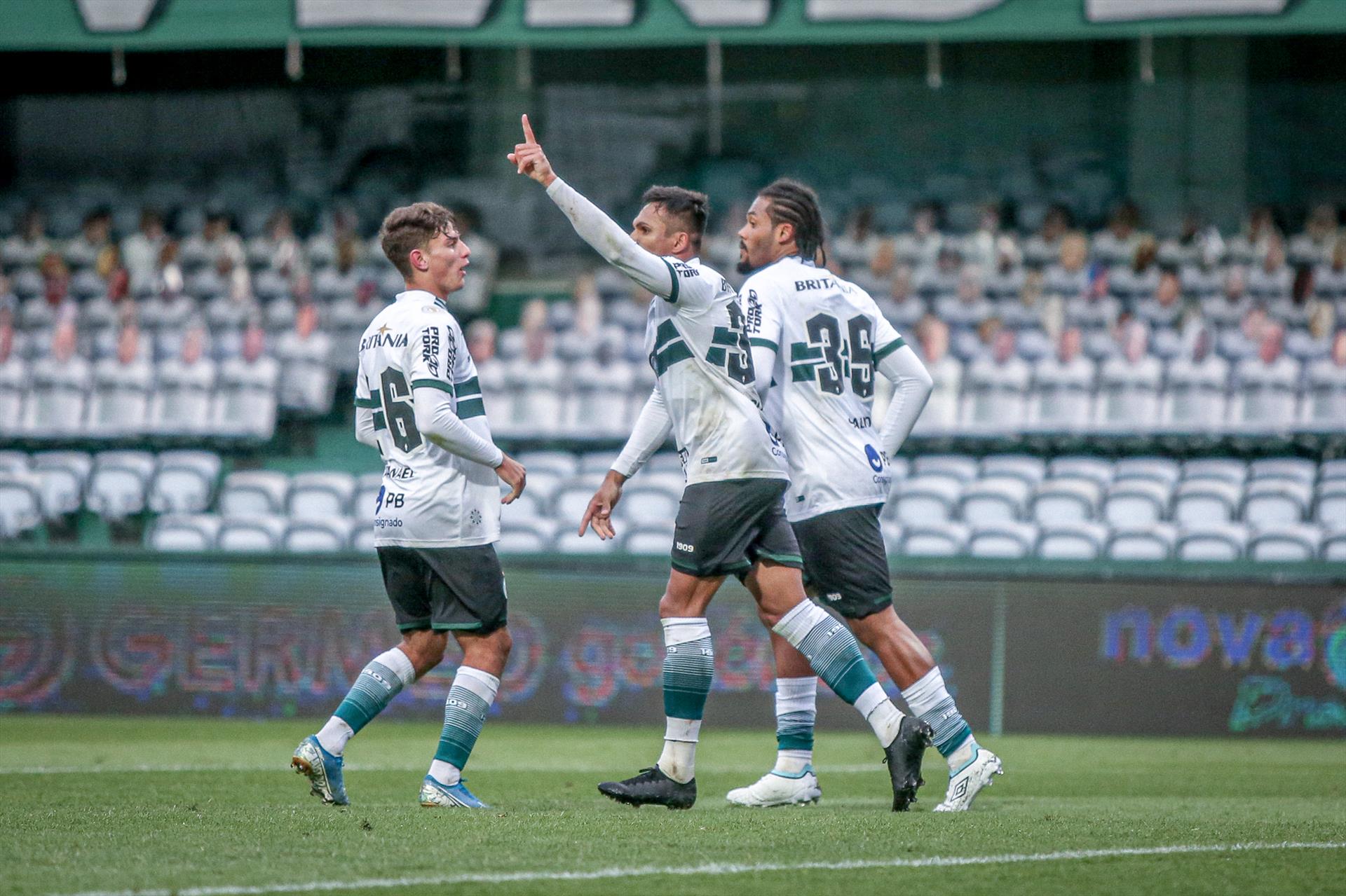Vitória coxa-branca
