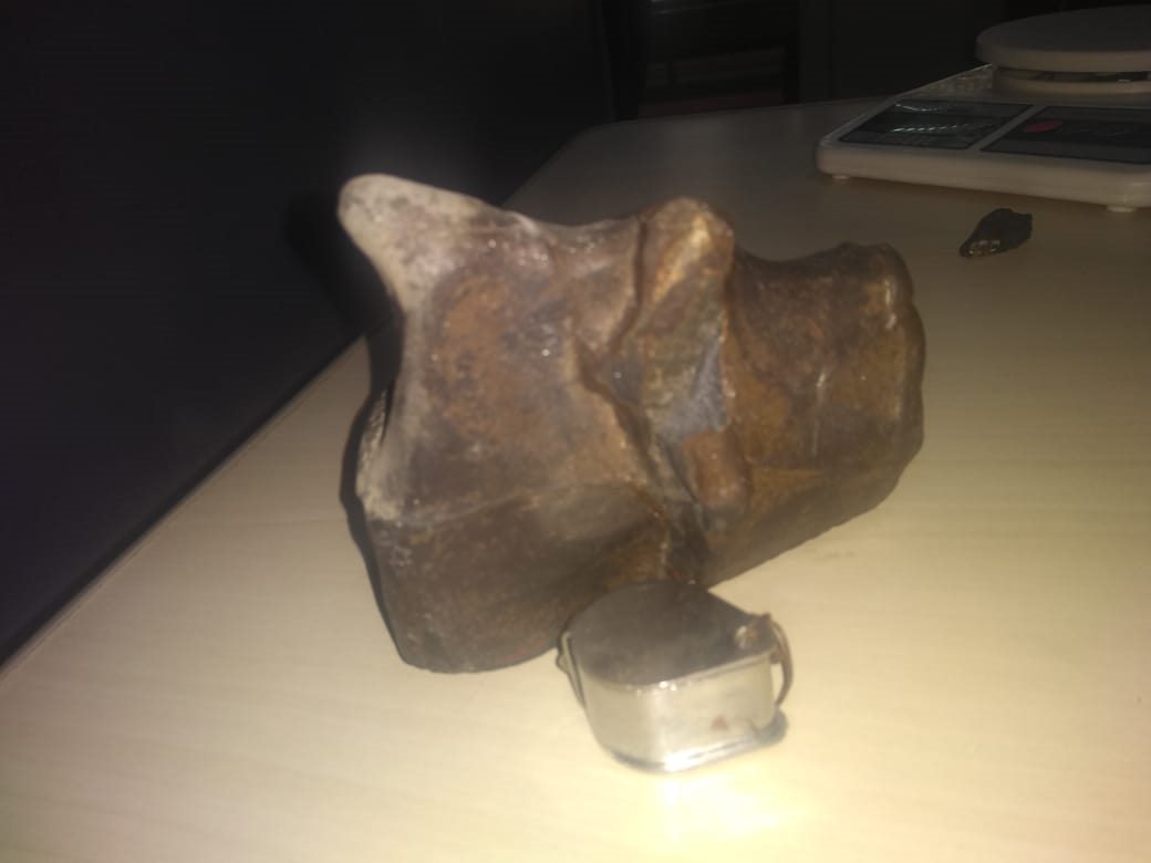 Meteorito que caiu em Curitiba em 1977 ajudará a entender origem do Sistema Solar