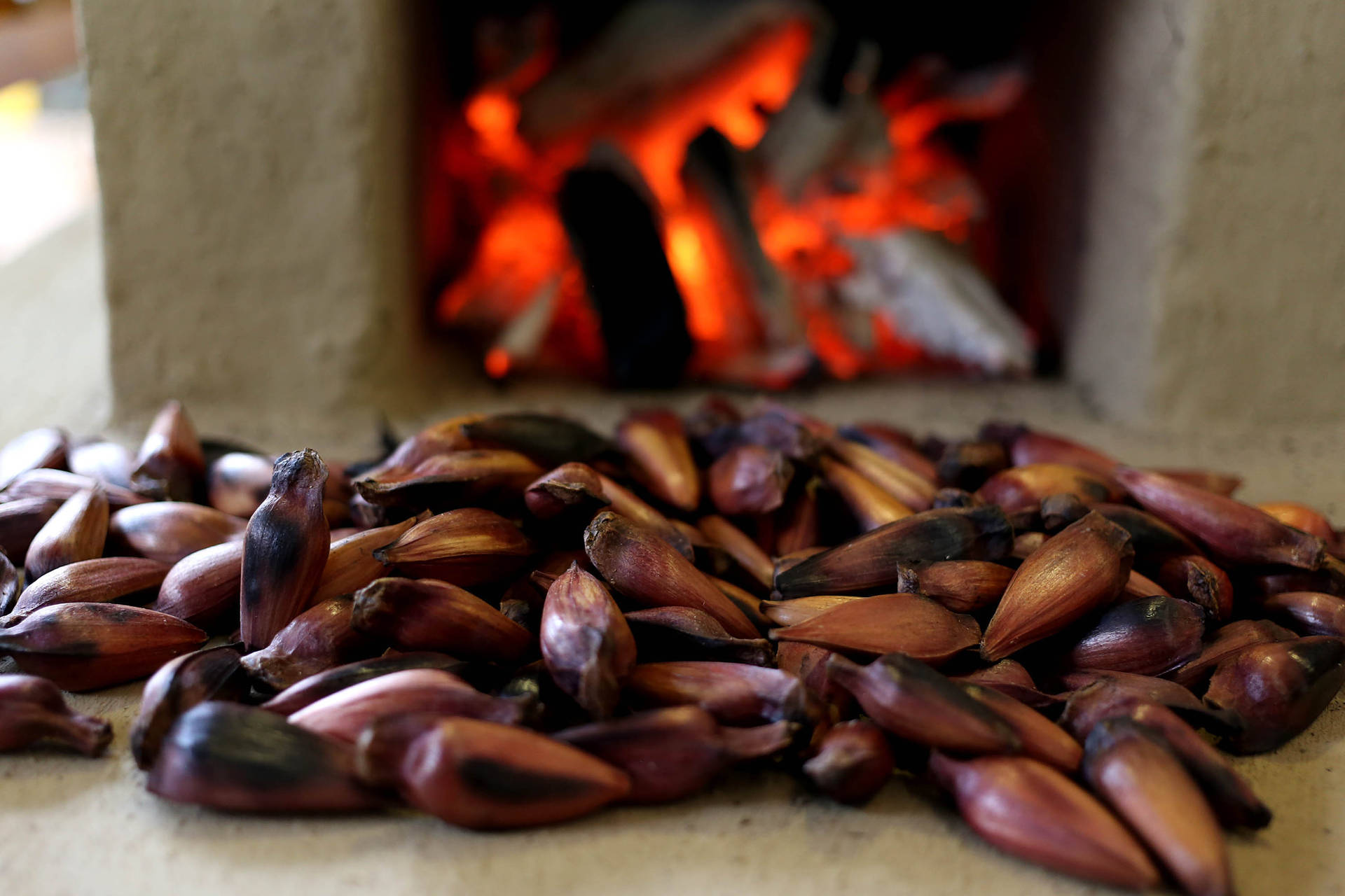 Venda do pinhão será liberada nesta quinta-feira