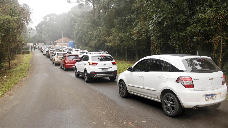 Vagas do passeio de carro no Zoo estão esgotadas