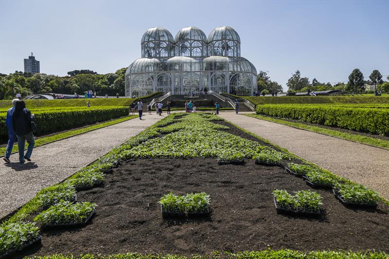 Paisagismo da cidade começa a se transformar para o Natal