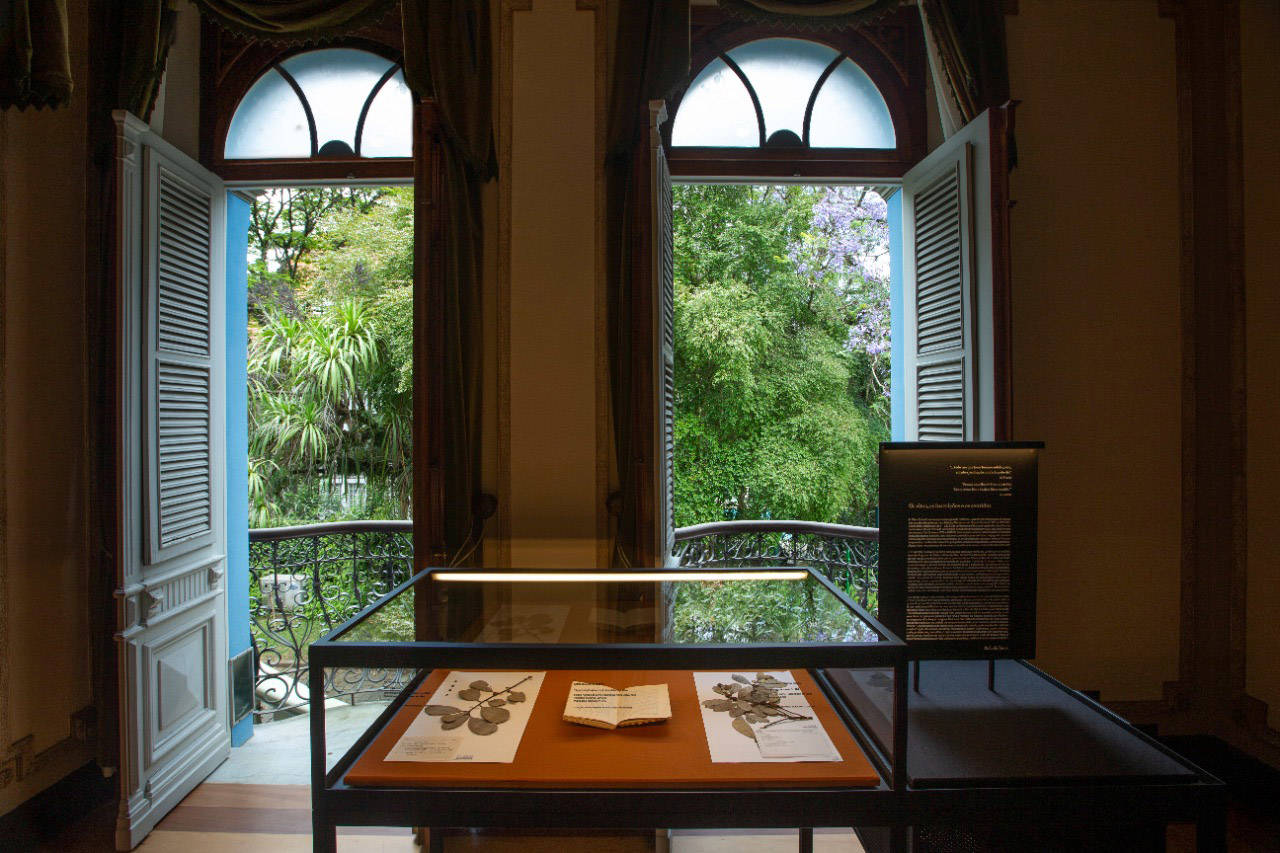 Mostra no Espaço Cultural BRDE destaca erva-mate como riqueza histórica, artística e cultural do Paraná