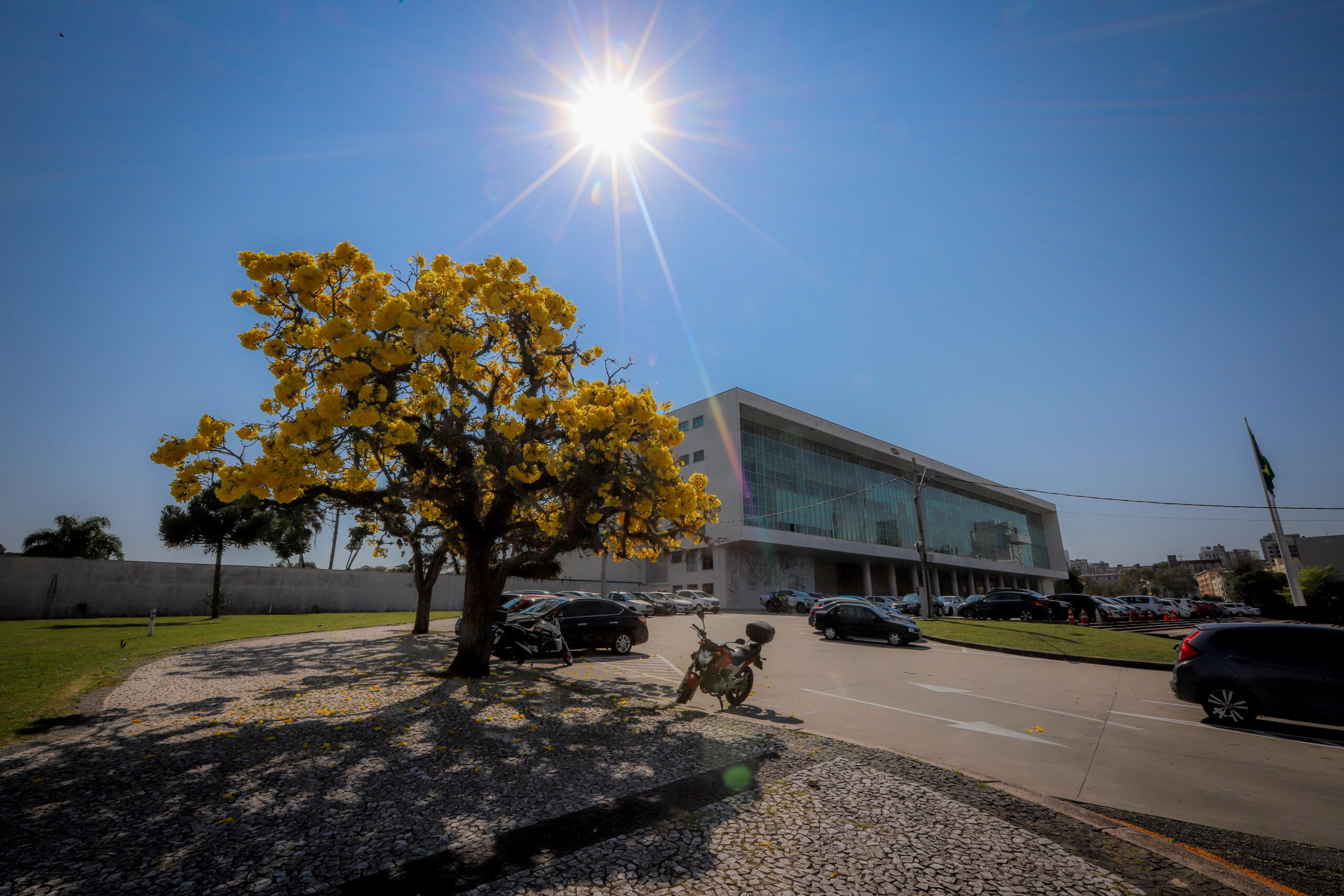 Confira o que abre e fecha durante o recesso de Natal e Ano Novo no Paraná