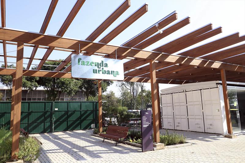 Do tomate ao azeite, curso da Fazenda Urbana ensina os benefícios dos alimentos funcionais