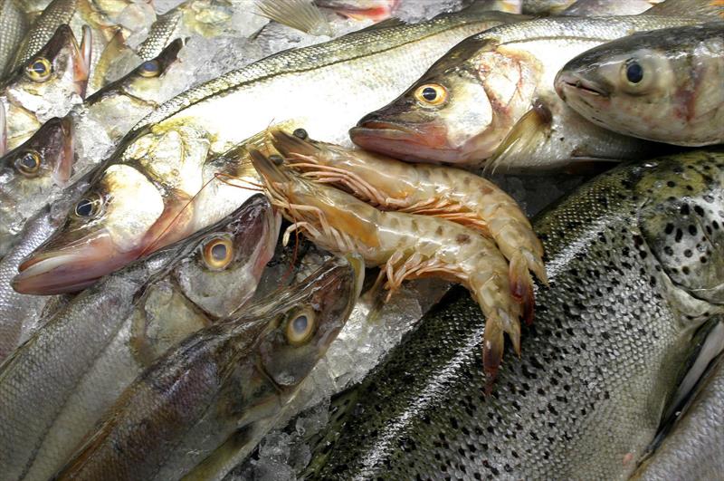 Pontos temporários de venda de pescados começam no próximo sábado