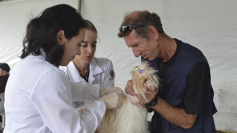 Rede quer reforço de clínicas veterinárias no combate ao abandono