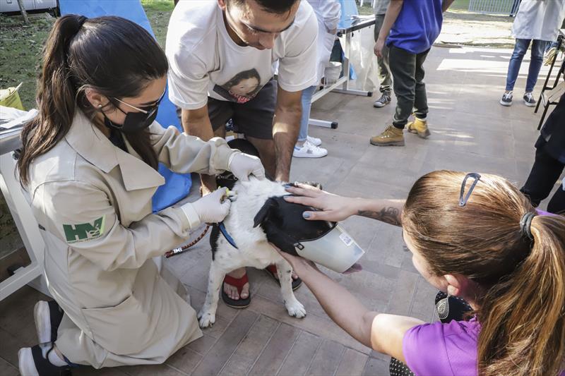 Ação clínica para cães garante guarda responsável e tem aprovação dos tutores da cidade