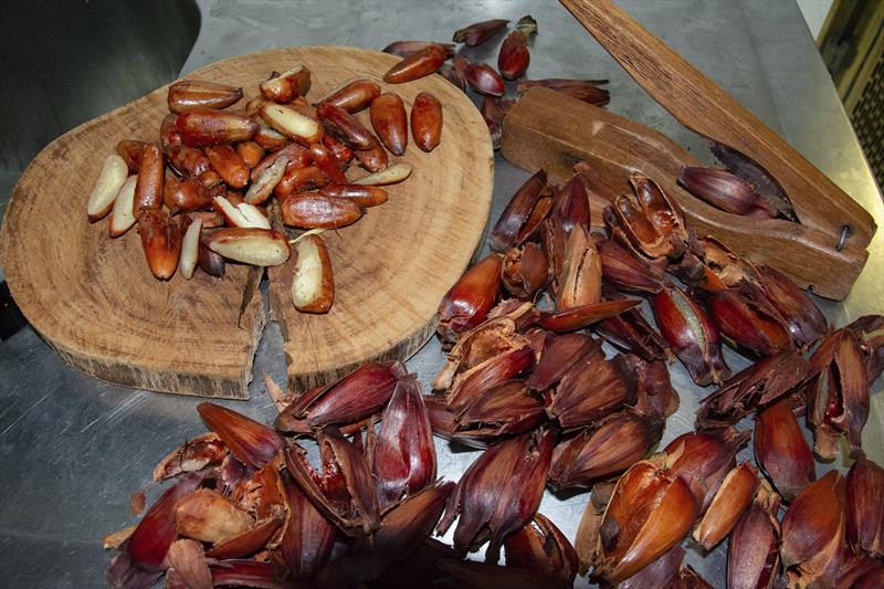 Últimos dias para aproveitar o 2º Festival do Pinhão no Mercado Municipal Capão Raso