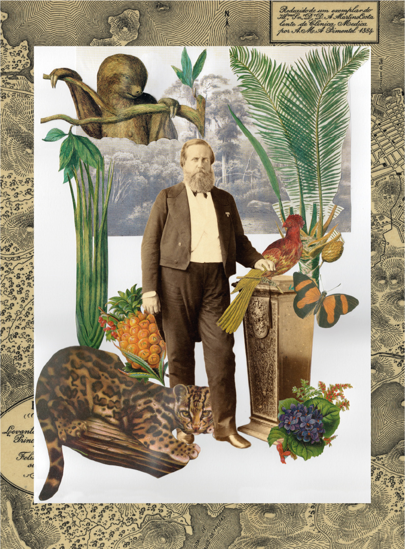 Exposição reúne ilustrações que revelam memórias de D. Pedro II