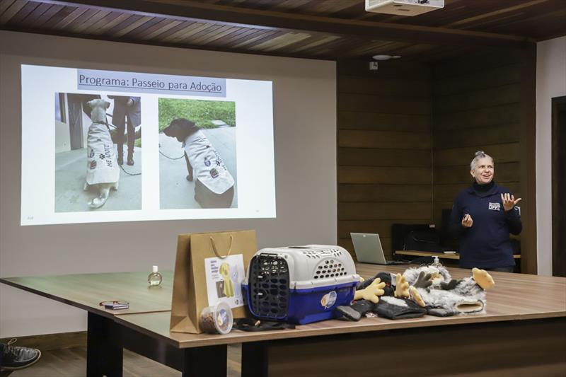 Curitiba promove ações em estilo test drive para incentivar adoção de cães