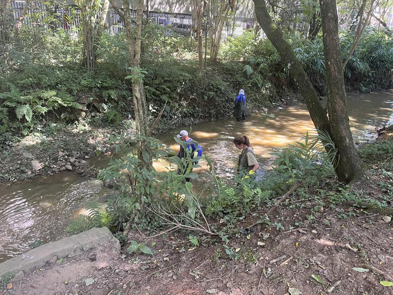 Meio Ambiente aplica larvicidas para diminuir incidência de borrachudos em Curitiba