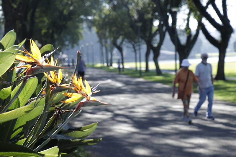 Curitiba é selecionada para o Programa Turismo Futuro Brasil