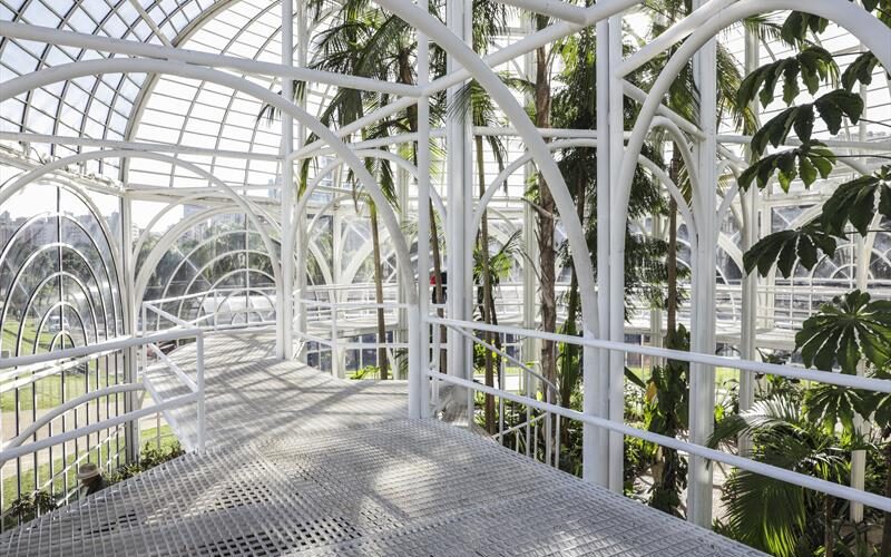 Após limpeza e manutenção, estufa do Jardim Botânico de Curitiba reabre para visitação
