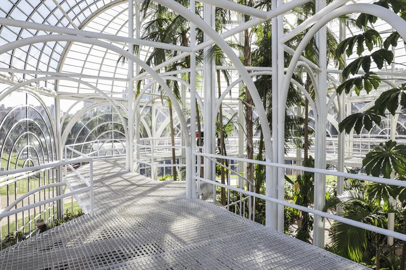 Após limpeza e manutenção, estufa do Jardim Botânico de Curitiba reabre para visitação