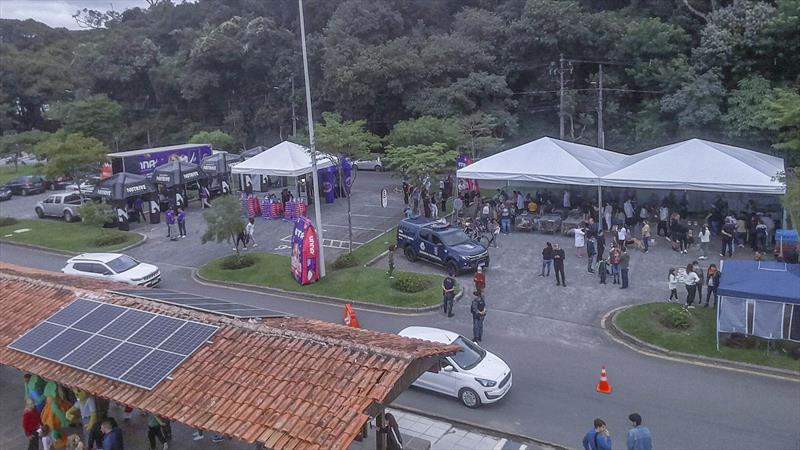 Inscrições de cães para evento de adoção começam nesta segunda-feira em Curitiba