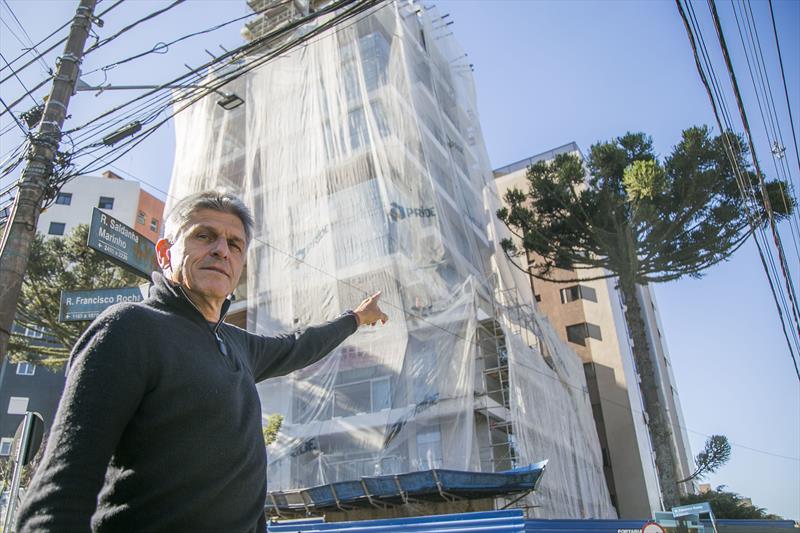 Curitiba dá incentivos construtivos para preservação de araucárias em imóveis