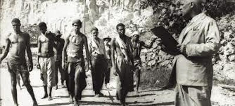 Cinemateca de Curitiba e Teatro da Vila exibem sucessos de bilheteria e filmes brasileiros de graça