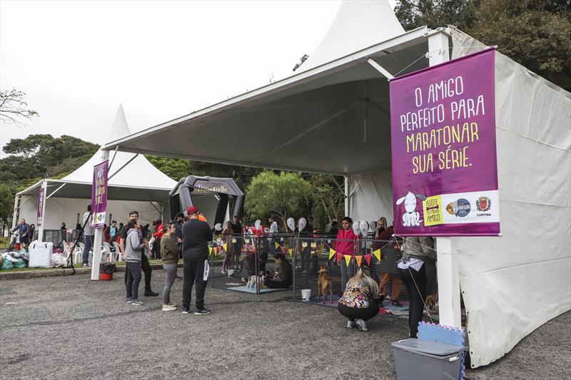 Evento de adoção de cães Amigo Bicho é adiado para 2 de setembro