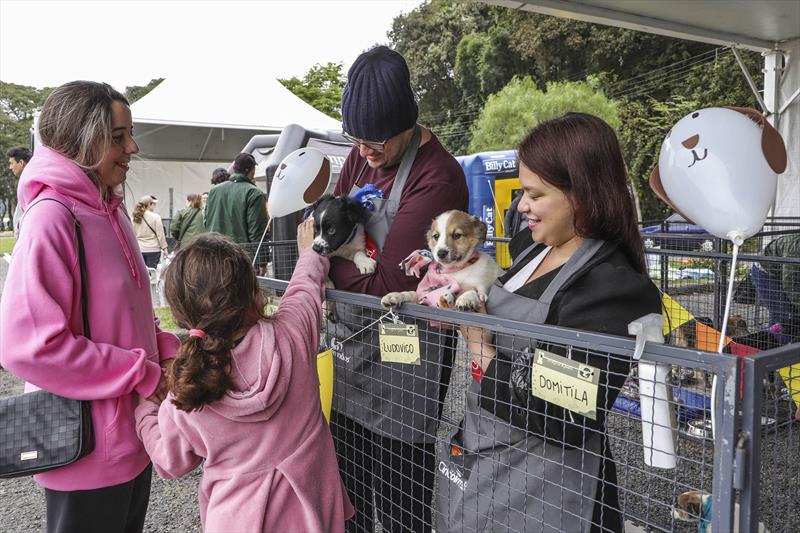 Sábado é dia de adotar um cachorro no evento Amigo Bicho da Prefeitura de Curitiba