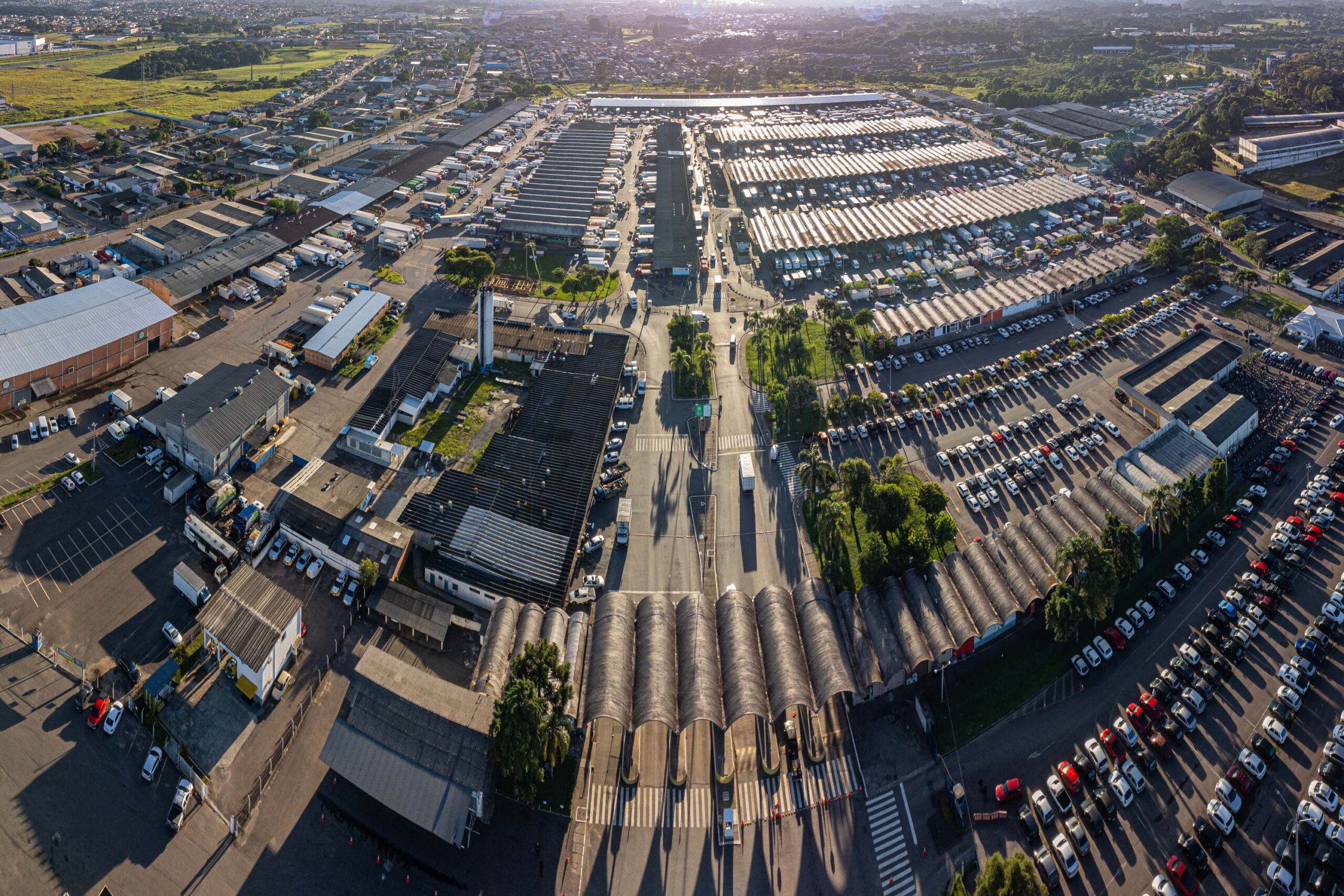 Ceasa Curitiba recebe exposição com 300 Kombis neste domingo