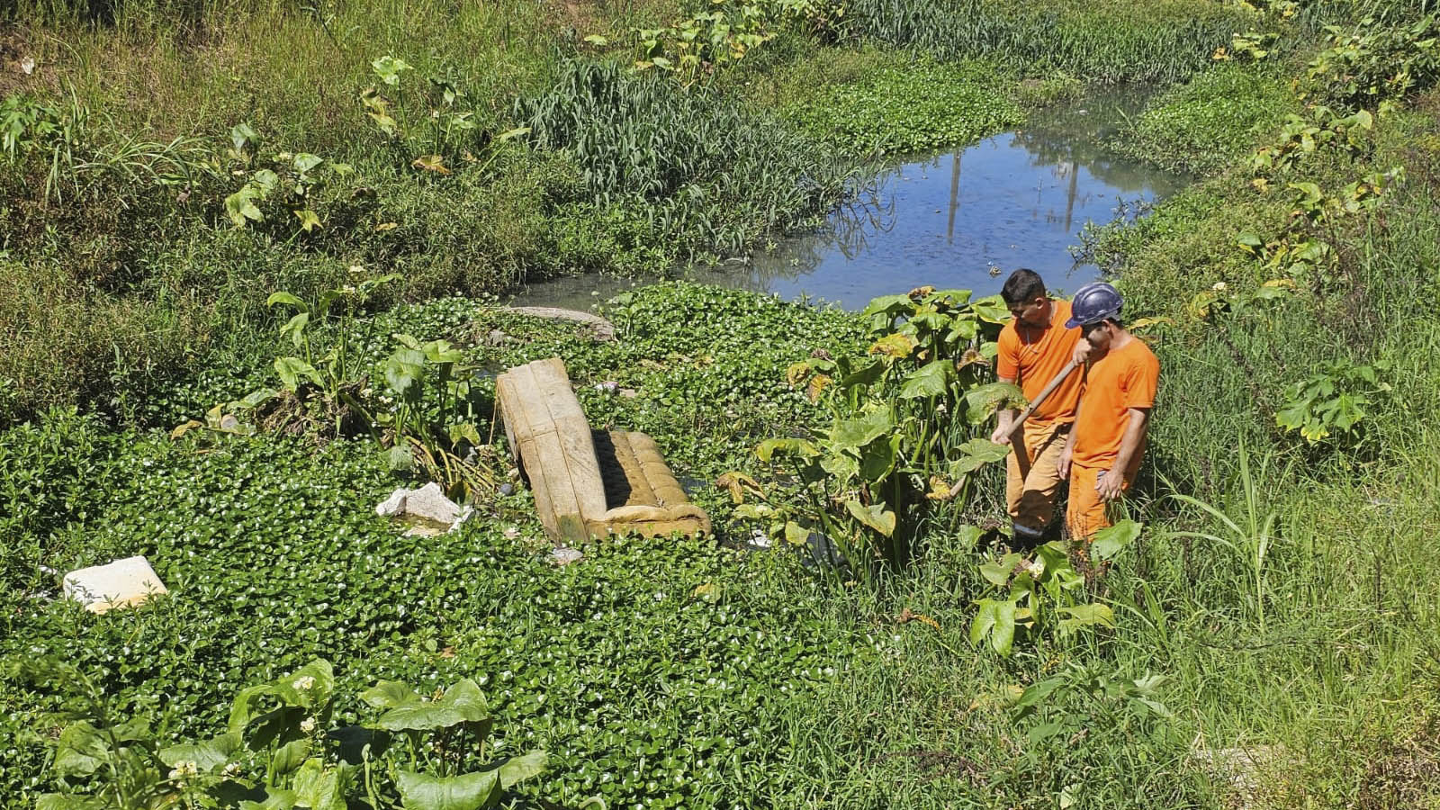 Prefeitura retira138 toneladas de lixo por mês dos rios de Curitiba; equipes encontram até sofá