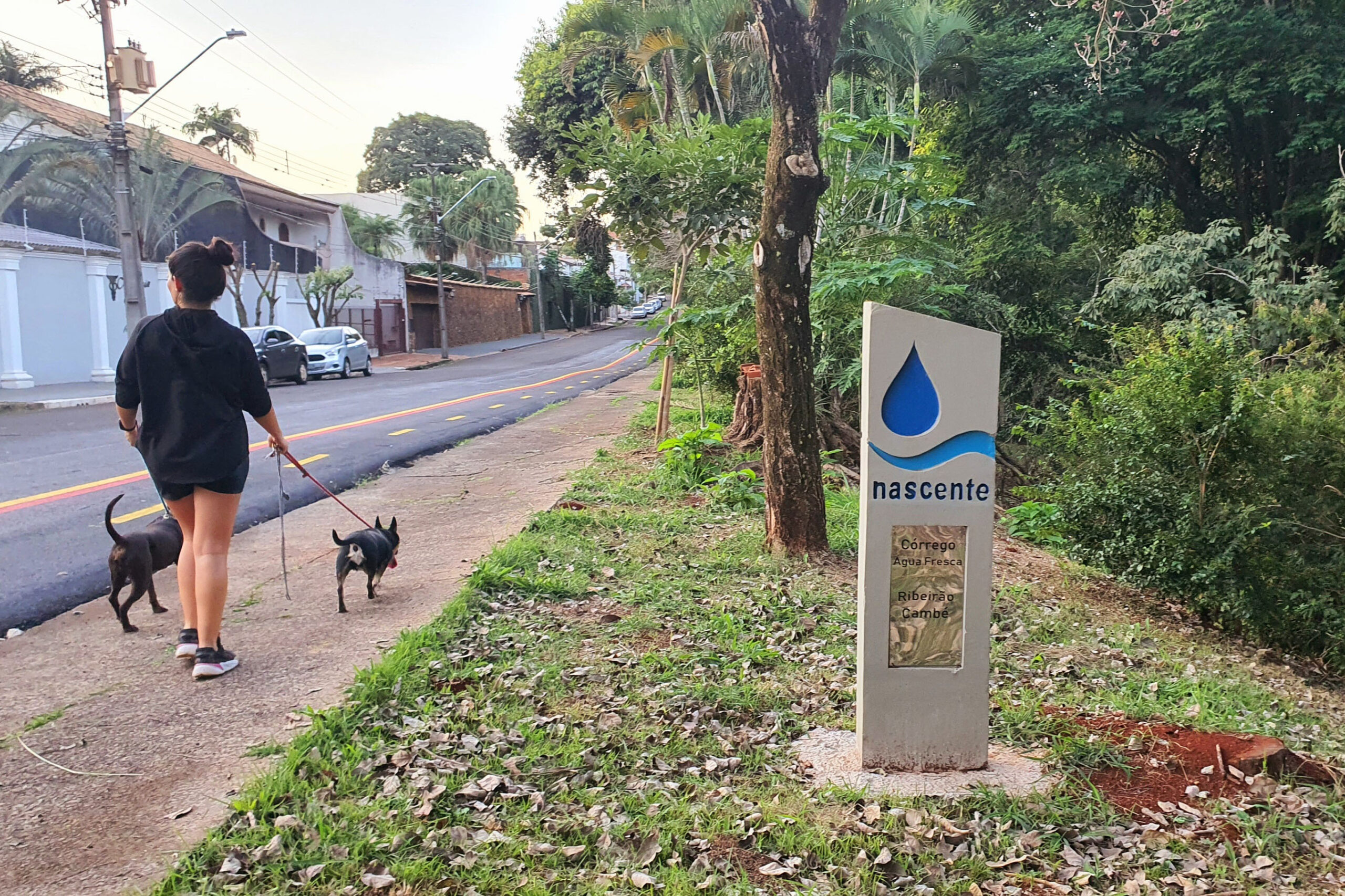 Educação ambiental: Sanepar instala placas e totens em bacias hidrográficas de Londrina