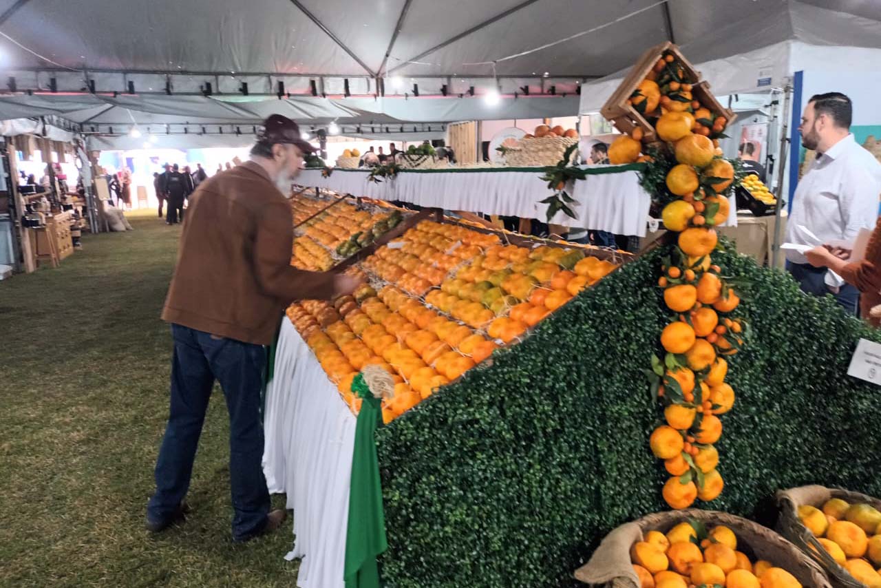 Cerro Azul realiza Festa da Ponkan com apoio do Governo do Estado