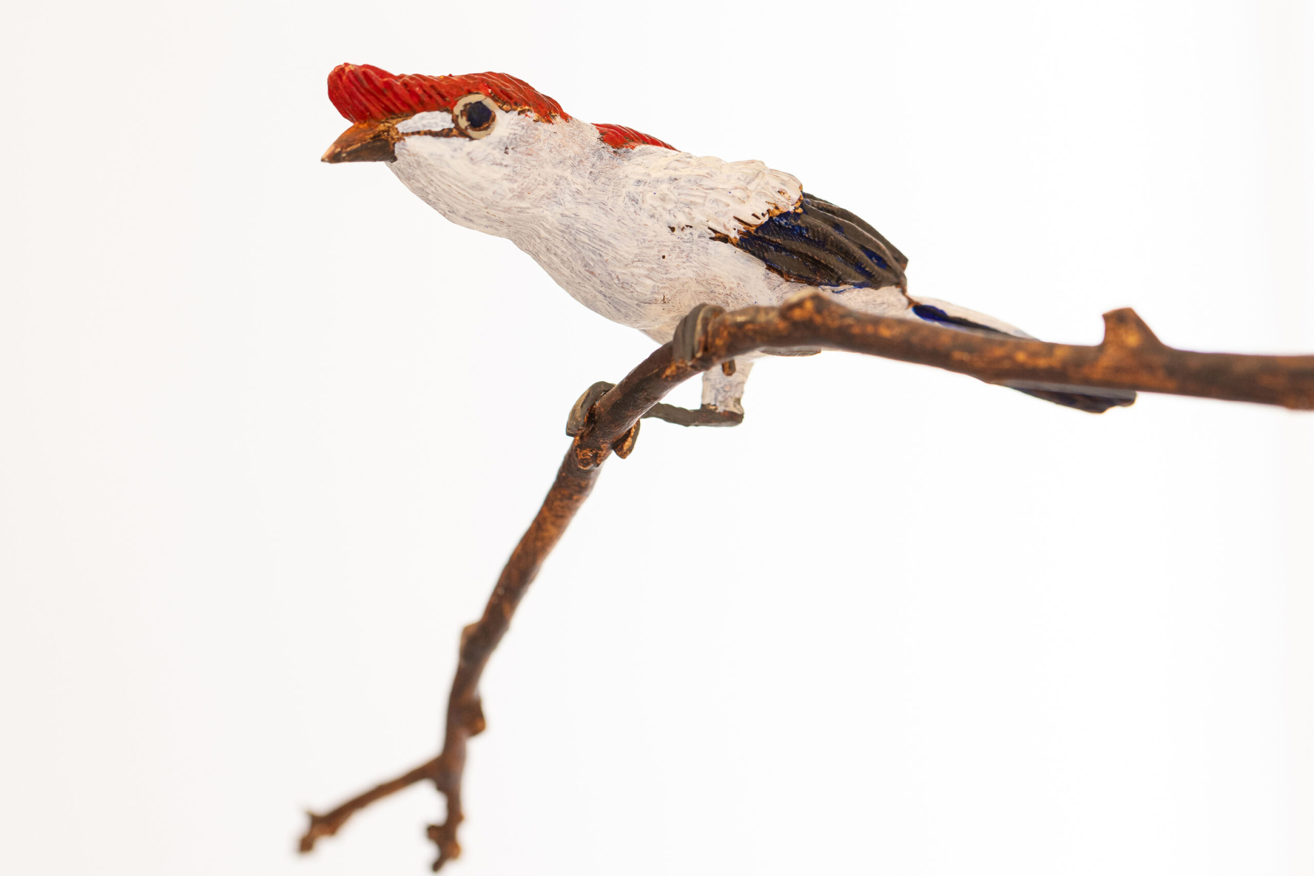 MON inaugura exposição inédita do artista Efrain Almeida em 20 de junho