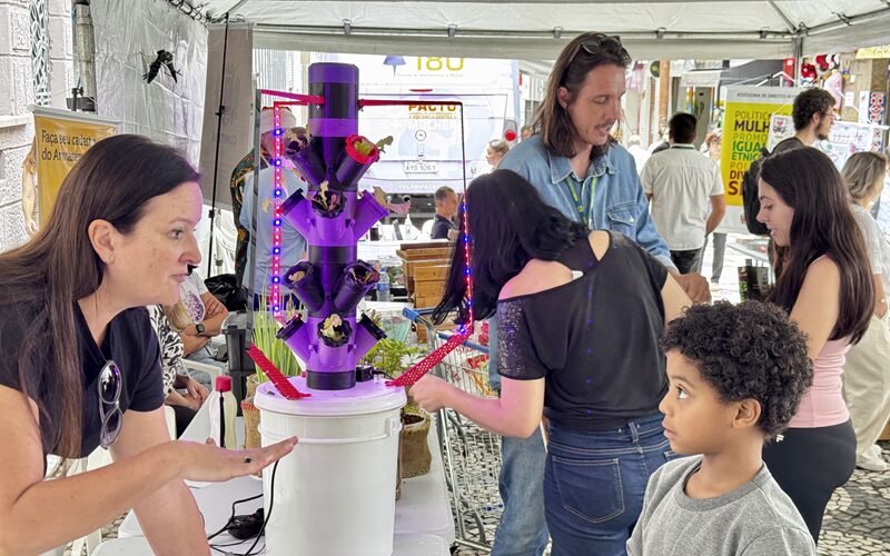 Coral, pintura, ações educativas e flash mob animam curitibinhas e curitibanos em feira no Centro