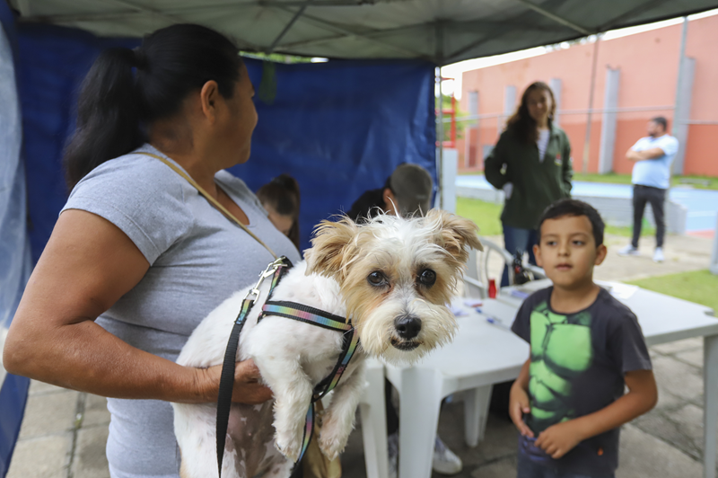 Está em Curitiba? Saiba as datas dos primeiros mutirões de castração gratuita de cães e gatos da Prefeitura