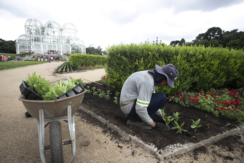 Jardim Botânico de Curitiba será coberto por 100 mil novas flores coloridas