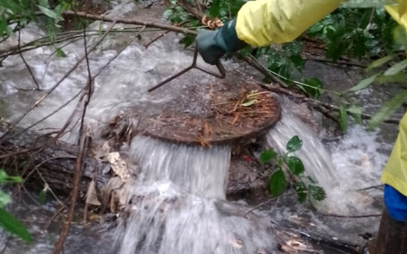 Sanepar orienta população a como escoar corretamente água da chuva dos imóveis