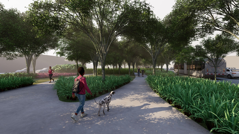 Novo traçado de pistas da Avenida Arthur Bernardes poupa árvores de corte