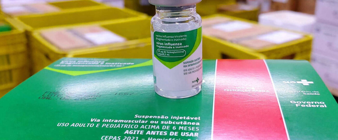 Influenza: vacinação para crianças, idosos e gestantes entra na rotina anual do SUS