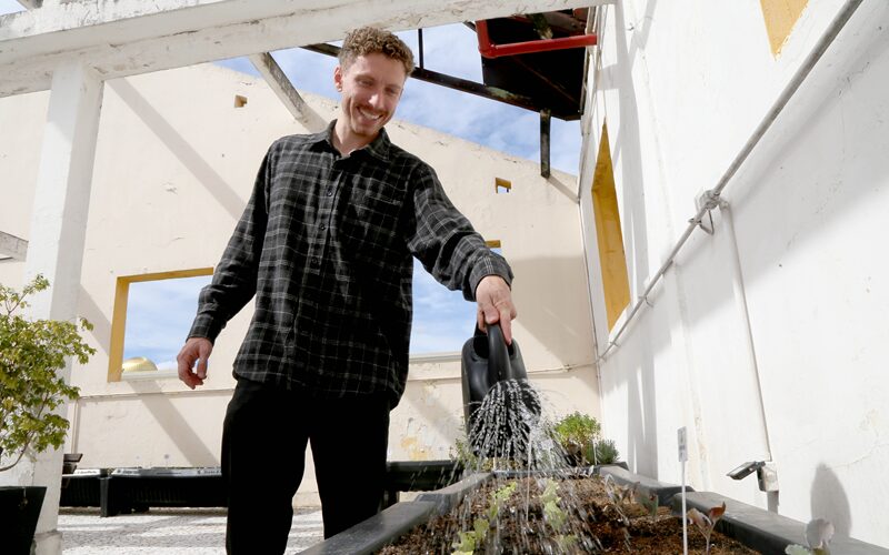 Startup de Curitiba instala horta e incentiva o cultivo de alimentos no Pinhão Hub