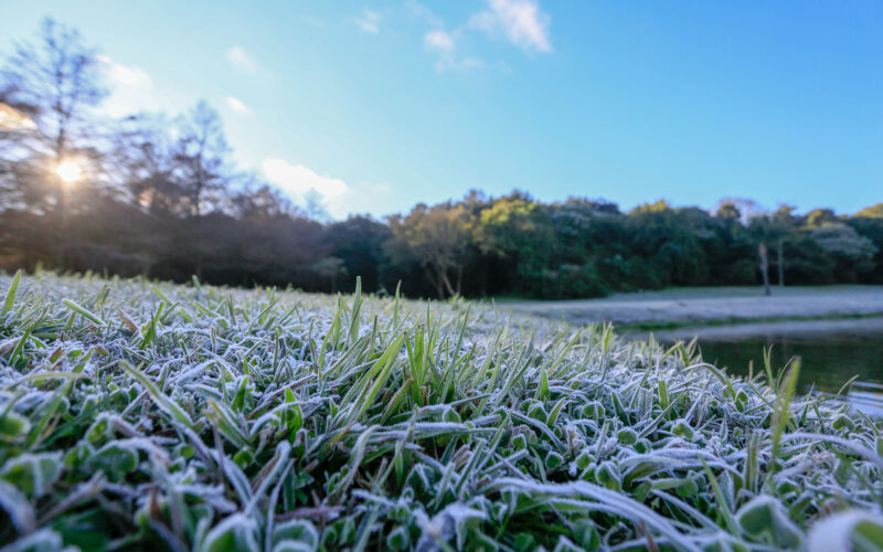 Primeira geada de 2025 é esperada para esta terça-feira, prevê Simepar