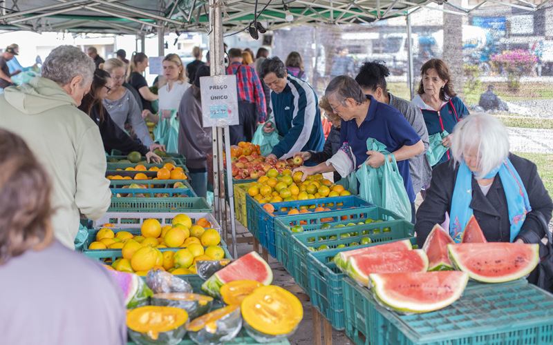 Veja onde trocar recicláveis por alimentos nesta quarta-feira