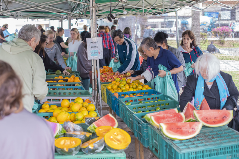 Veja onde trocar recicláveis por alimentos nesta quarta-feira