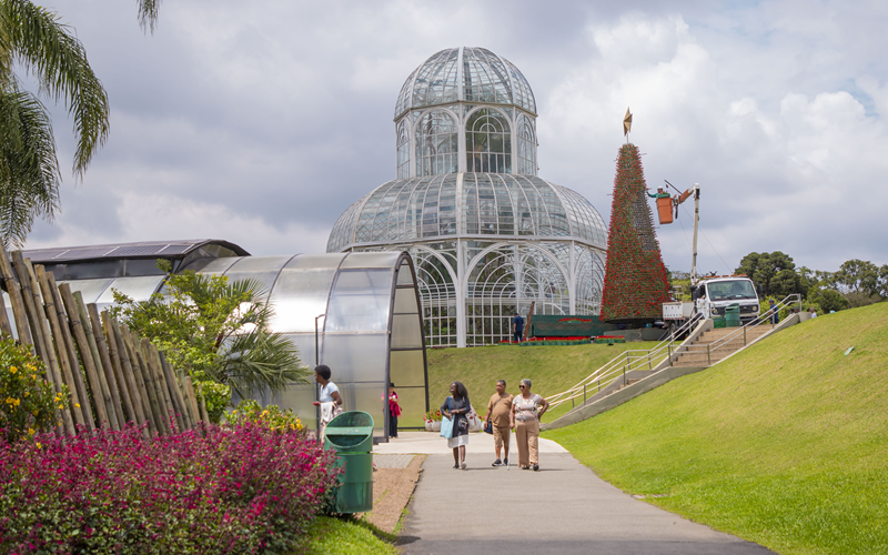 Árvores de Natal “vivas” começam a receber flores no Jardim Botânico e Largo da Ordem