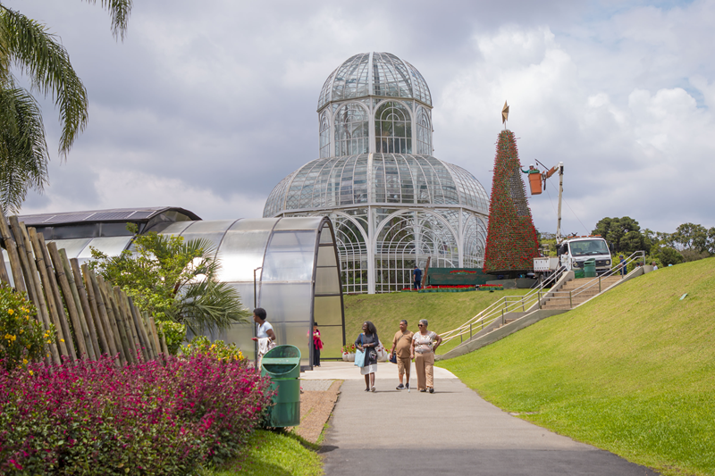 Árvores de Natal “vivas” começam a receber flores no Jardim Botânico e Largo da Ordem