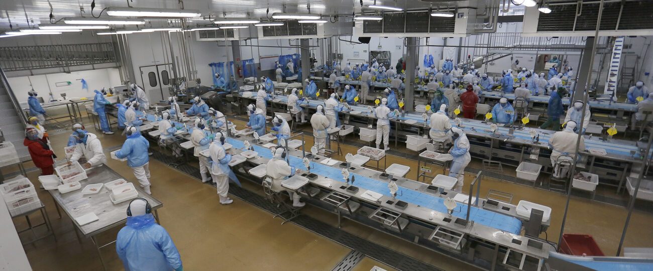 Paraná começa dezembro com recorde de 27,1 mil vagas nas Agências do Trabalhador