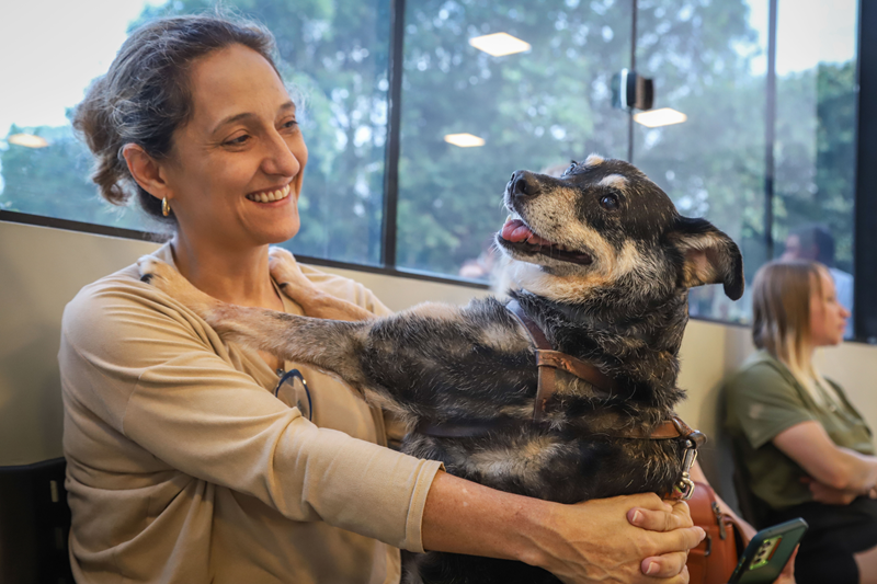 Hospital Veterinário Municipal faz 1 ano com 30 mil consultas gratuitas; Curitiba ganhará nova unidade