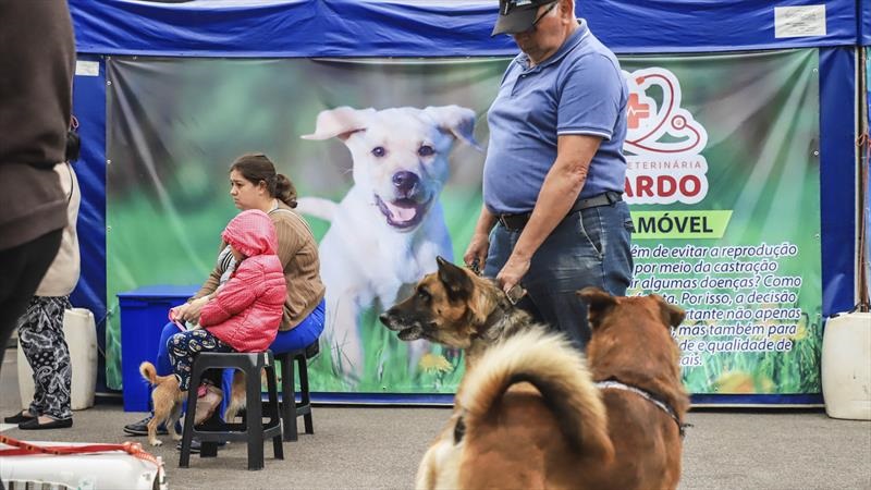 Prefeitura de Curitiba abre 4 mil vagas para castração gratuita de cães e gatos. Veja as datas e endereços