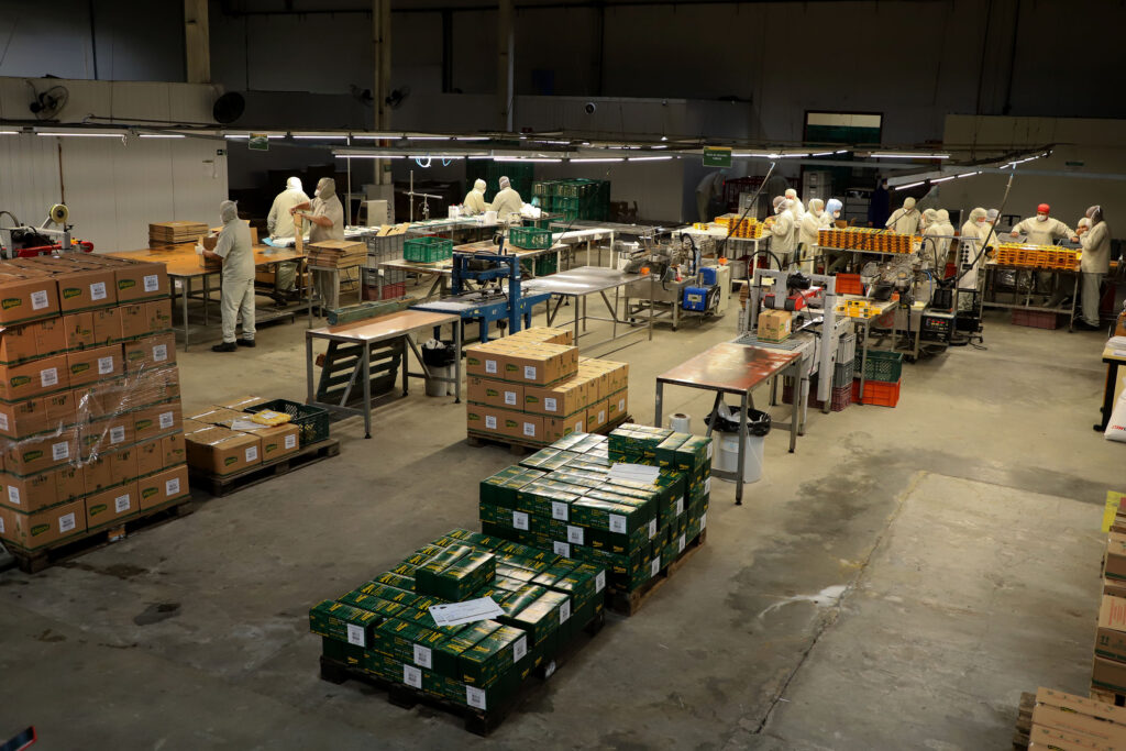 Com 24,8 mil vagas, Agências do Trabalhador auxiliam paranaenses a assinar a carteira