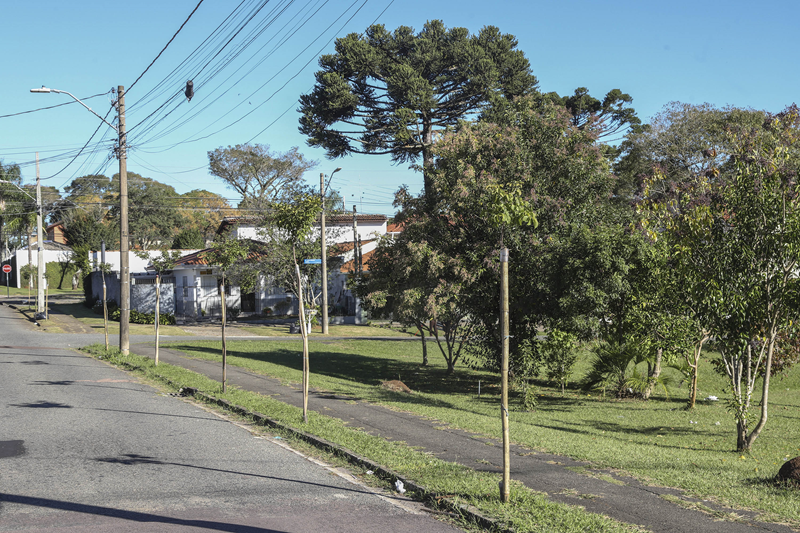 Ruas próximas à Avenida Arthur Bernardes já ganharam 8,4 mil novas árvores